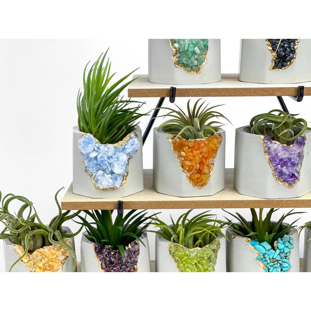 Succulent Crystal Planter | Geode Planter | Raw Blue Calcite - Picture 3 of 9
